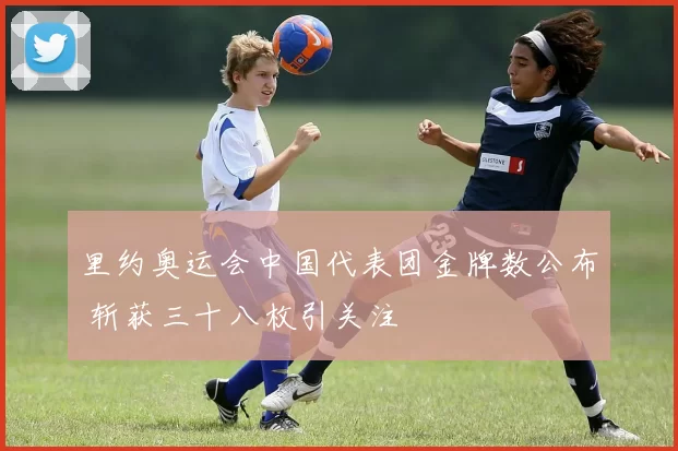 里约奥运会中国代表团金牌数公布 斩获三十八枚引关注