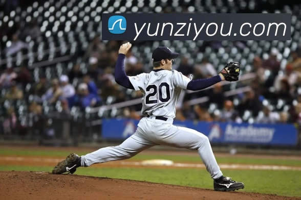 星空平台服务体系